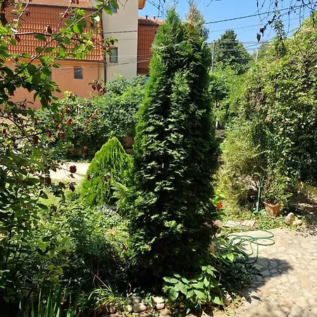 Residence, Free Parking, Pets Friendly Apartment *
